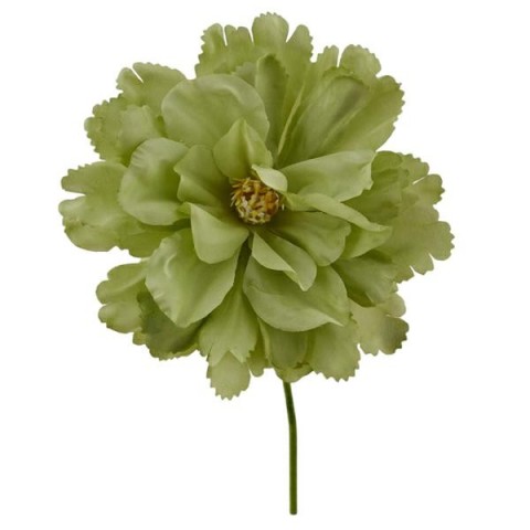 PEONIA VERDE D.14 L.15